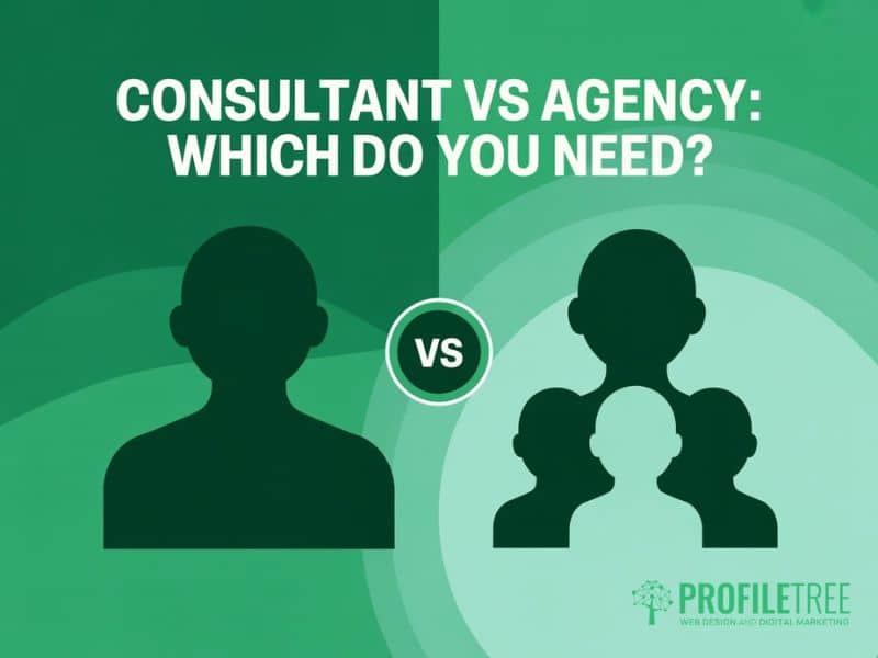 SEO Consultant