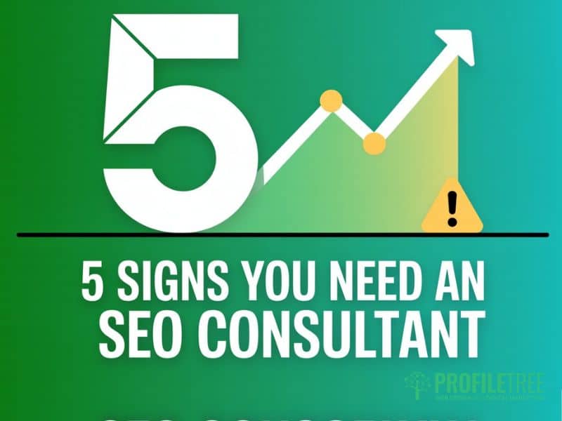 SEO Consultant