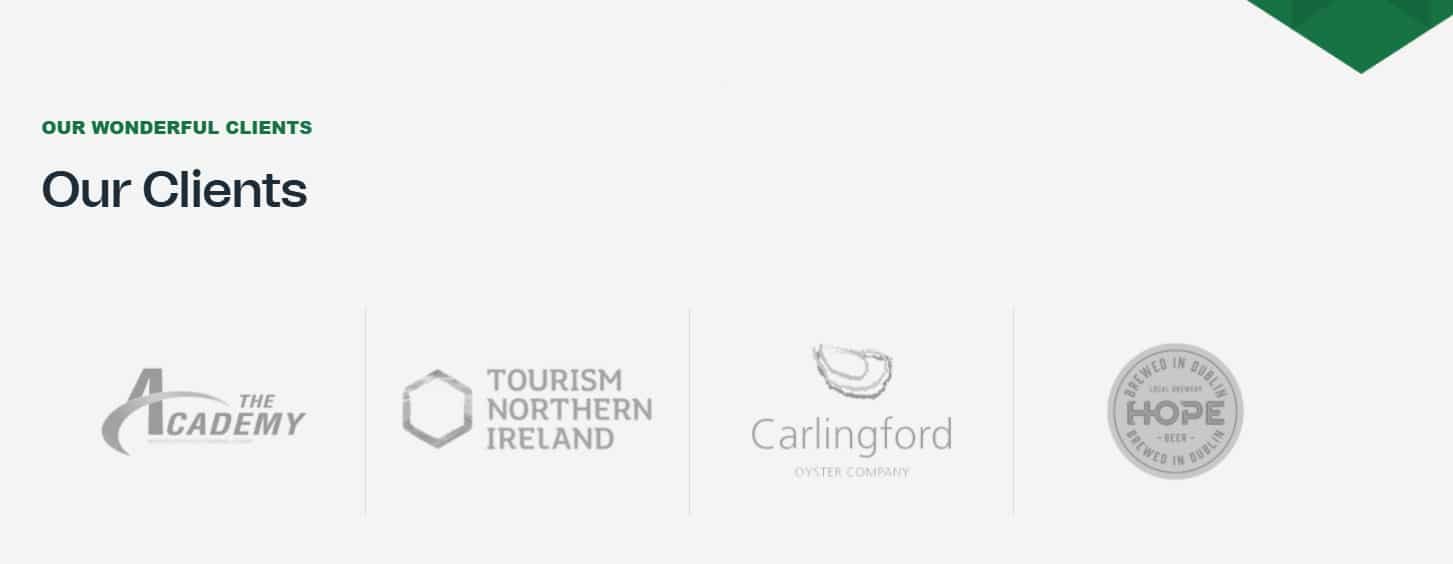 A section titled Our Clients with four client logos—The Academy, Tourism Northern Ireland, Carlingford Oyster Company, and HOPE—displayed in a row on a light background. Discover why clients trust ProfileTree for SEO excellence.