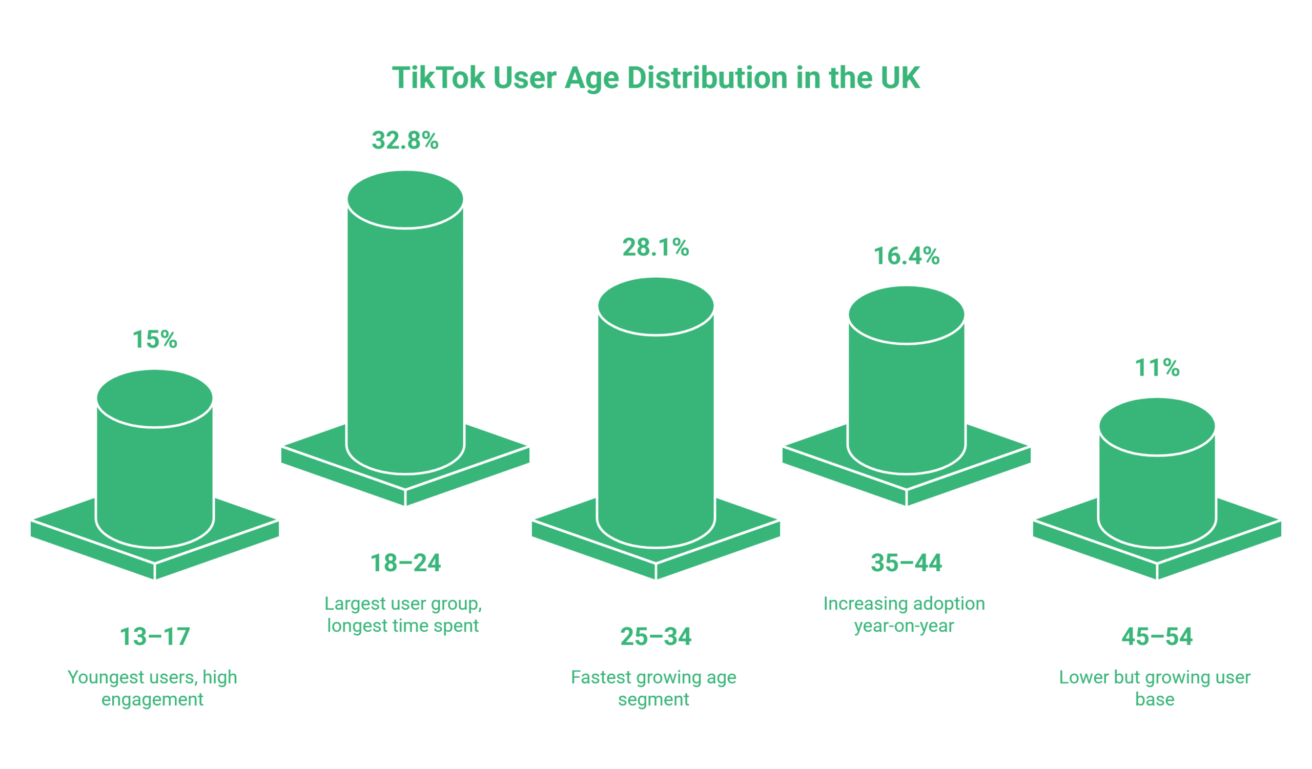 TikTok Statistics UK_ Audience Data for Marketing Managers - visual selection