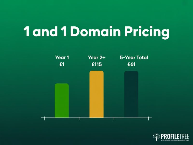 Flat vector bar chart comparing 1 and 1 Domain first-year pricing of £1 against the £15 annual renewal rate and £61 five-year total cost