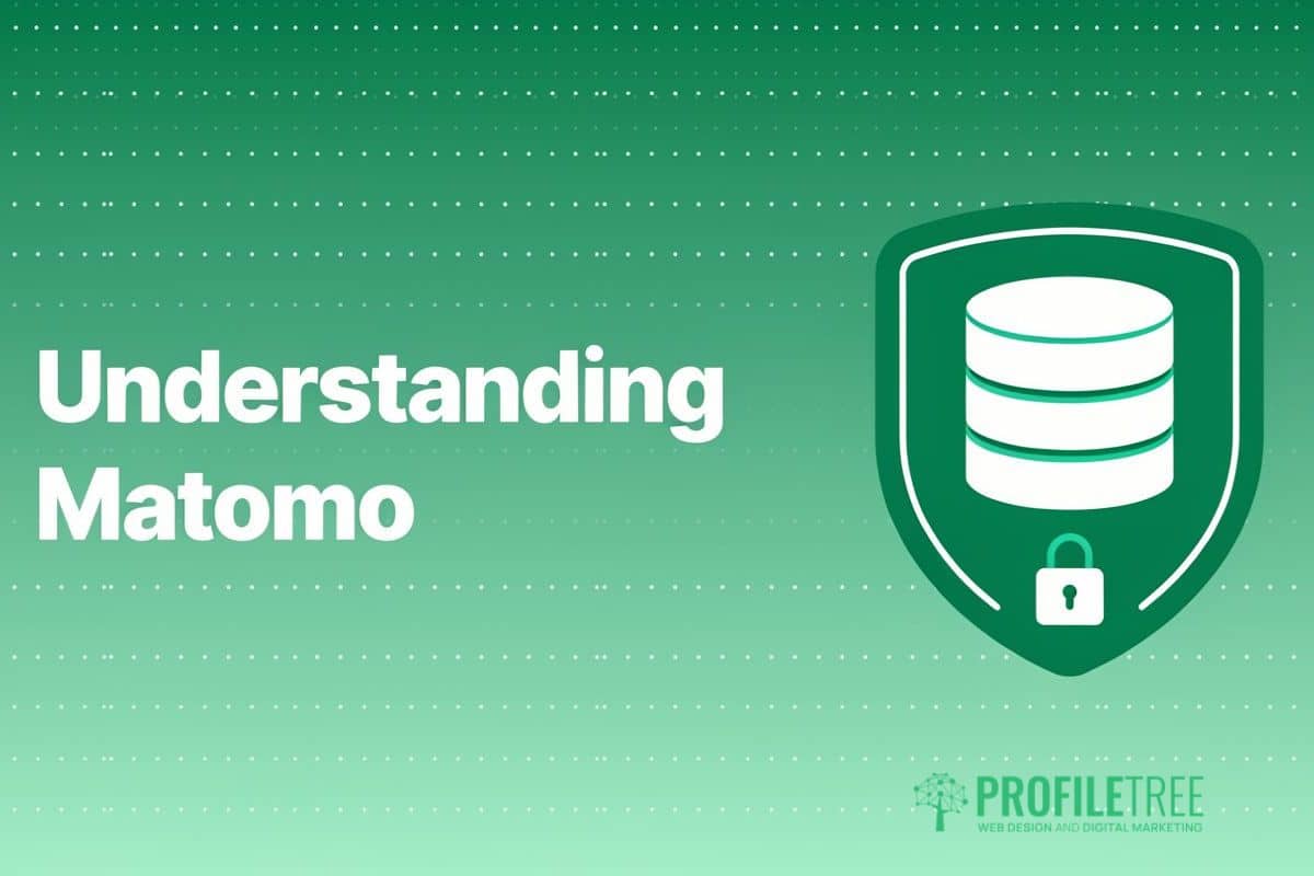 Understanding Matomo