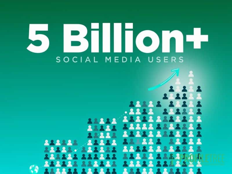 social media usage