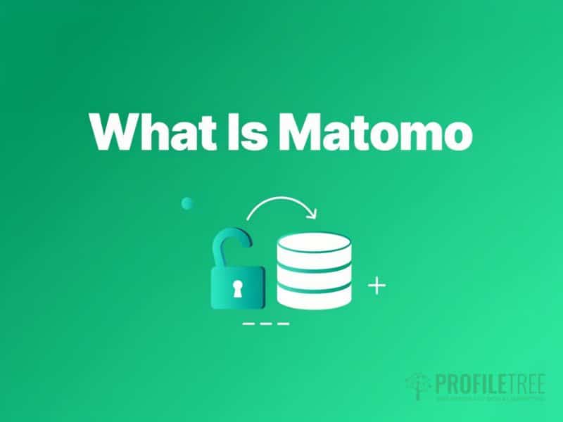 Understanding Matomo