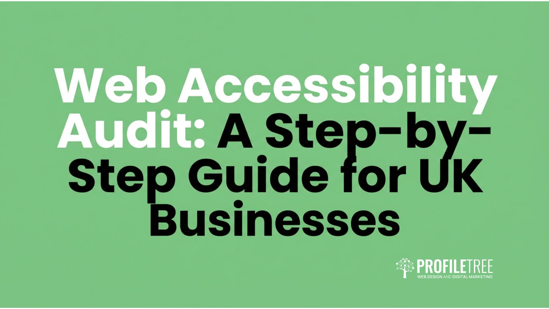 Web Accessibility Audit