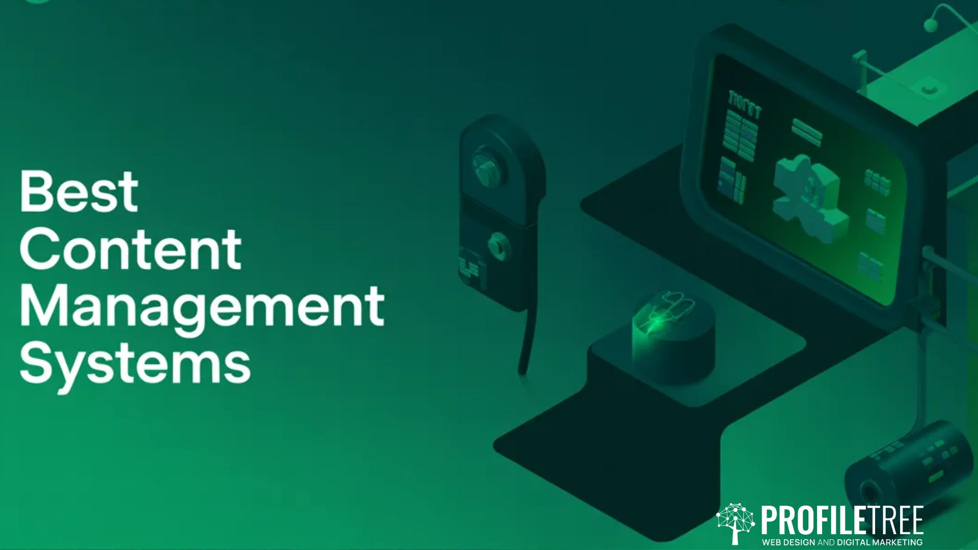 Best Content Management Systems for Beginners Guide