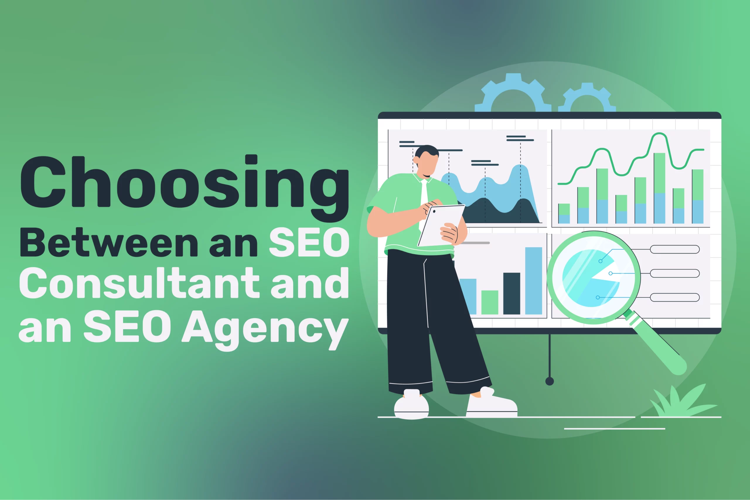 SEO Consultant